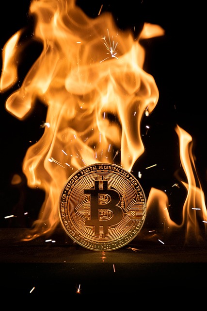 Bitcoin: The Biggest Bull Run Ever Anticipated in the Crypto World!