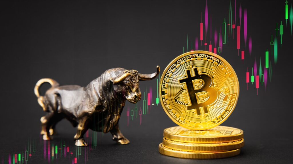 Como Montar Sua Primeira Carteira de Cripto